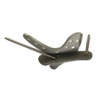 LDK Femoral Stem