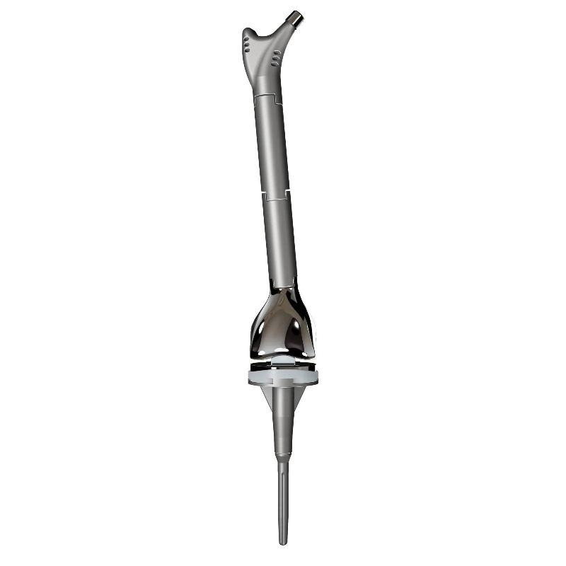 LDK Total Femur Tumor Protezi